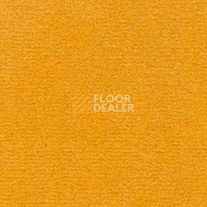 Ковролин Radici Nexus Papaya 2428 фото 1 | FLOORDEALER